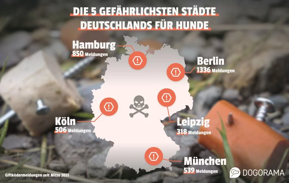 x_Dogorama_Giftköder_Deutschland_3.webp