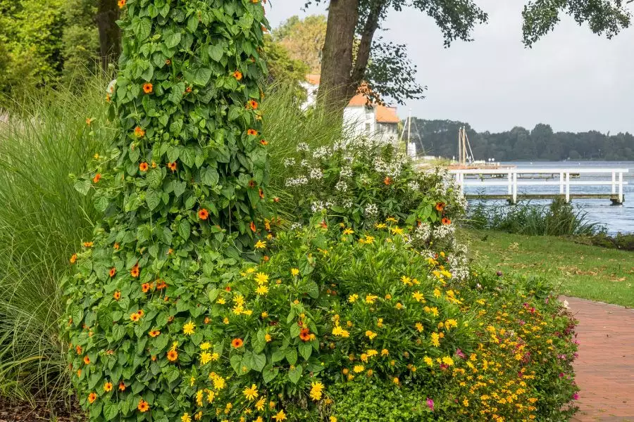 Allgemeines Bad Zwischenahn - Historische Windmühlen - Urlaub am See