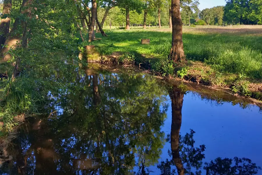 Zwischenahner Meer Naturschutz Helle Baeke