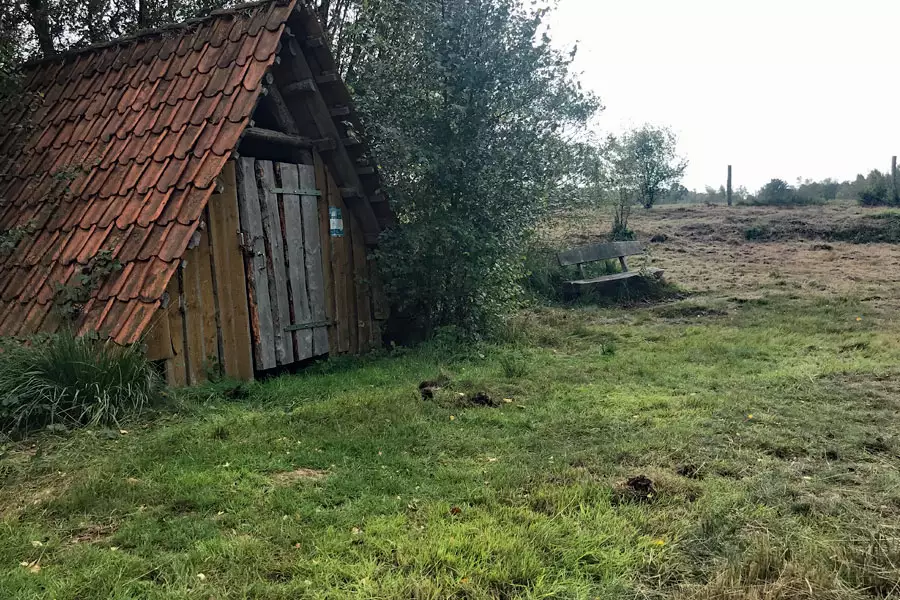 MB-Moor-Ekern