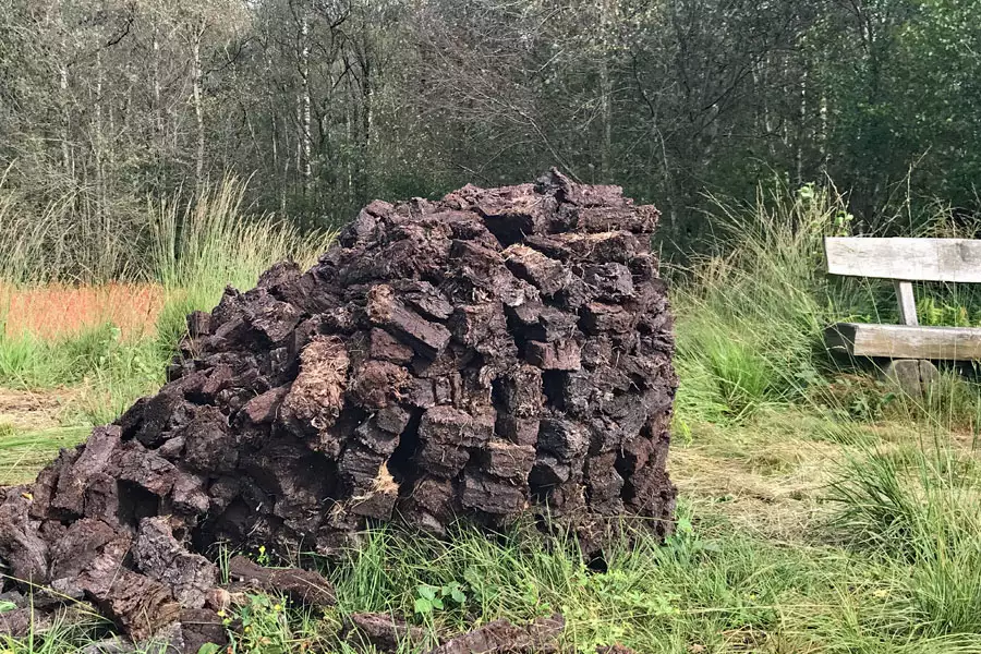Bad Zwischenahn Moor Torf