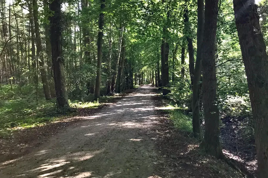 Radfahren Bad Zwischenahn Rundfahrt Nordseite