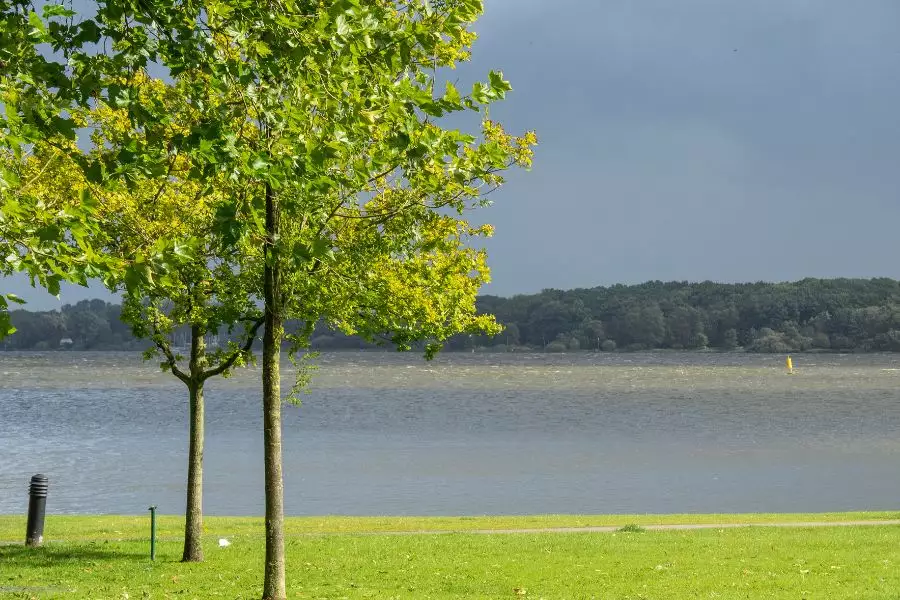Zwischenahner Meer - Segeln - Wandern