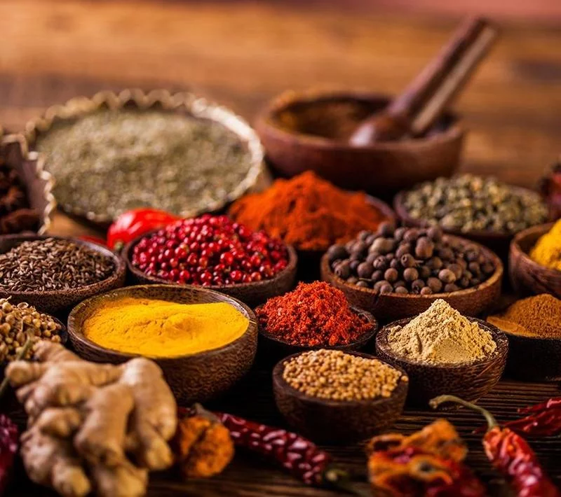 Ayurveda Festival 2026 bei Yoga Vidya Bad Meinberg – Dein Weg zu Gesundheit, Yoga und ayurvedischer Lebensfreude