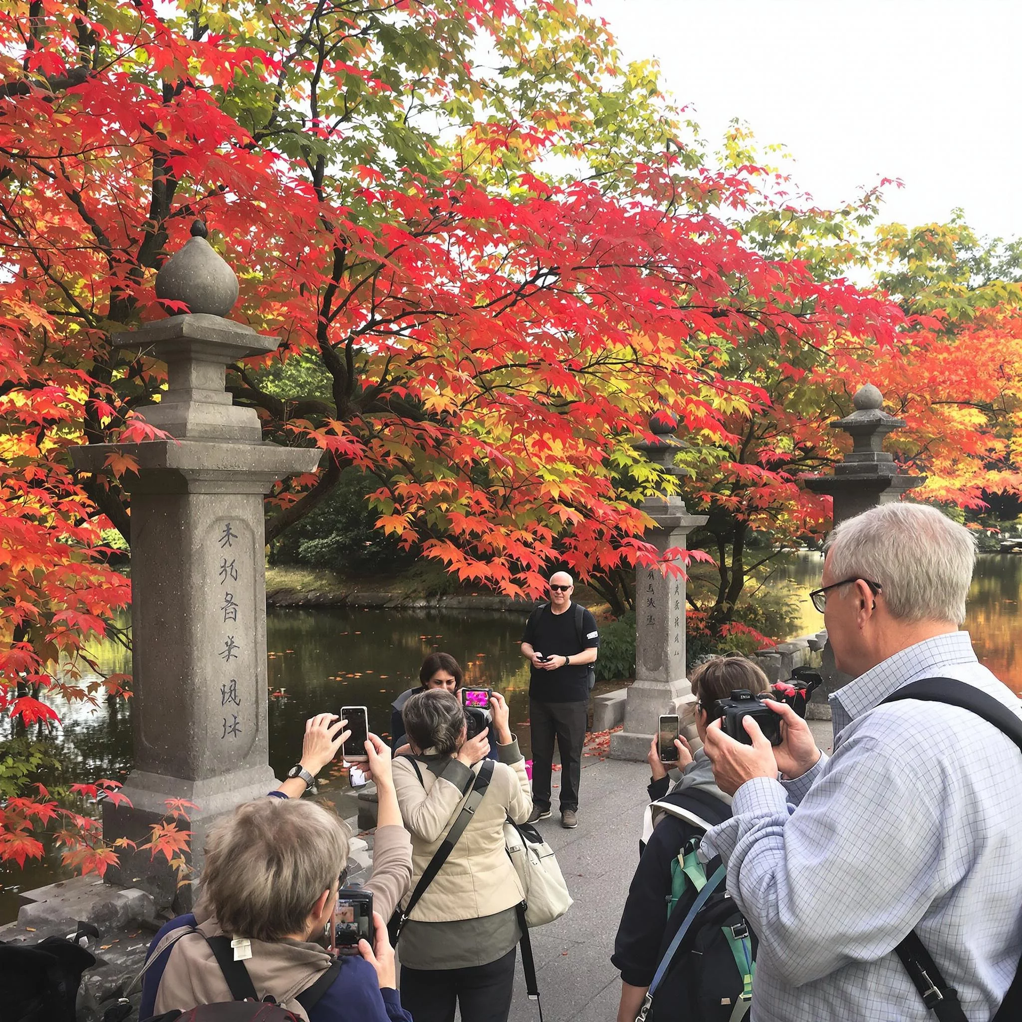 Entdecke Japans kulturelle Vielfalt: Tradition und Moderne vereint