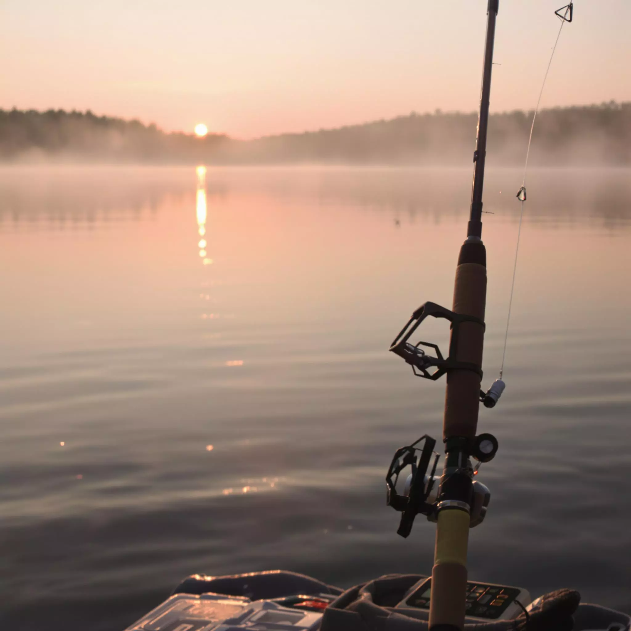 Innovative Köder und Zubehör für den modernen Angler