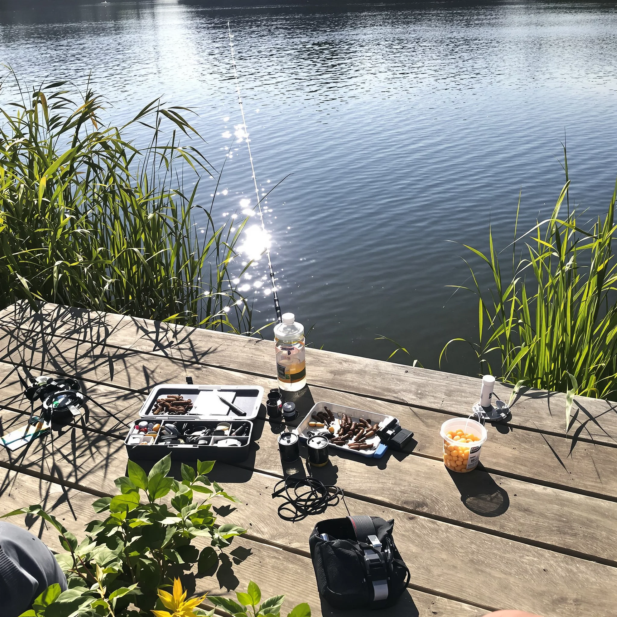Alles rund um angeln: Pose & Grundmontage kombinieren – Friedfische gezielt fangen
