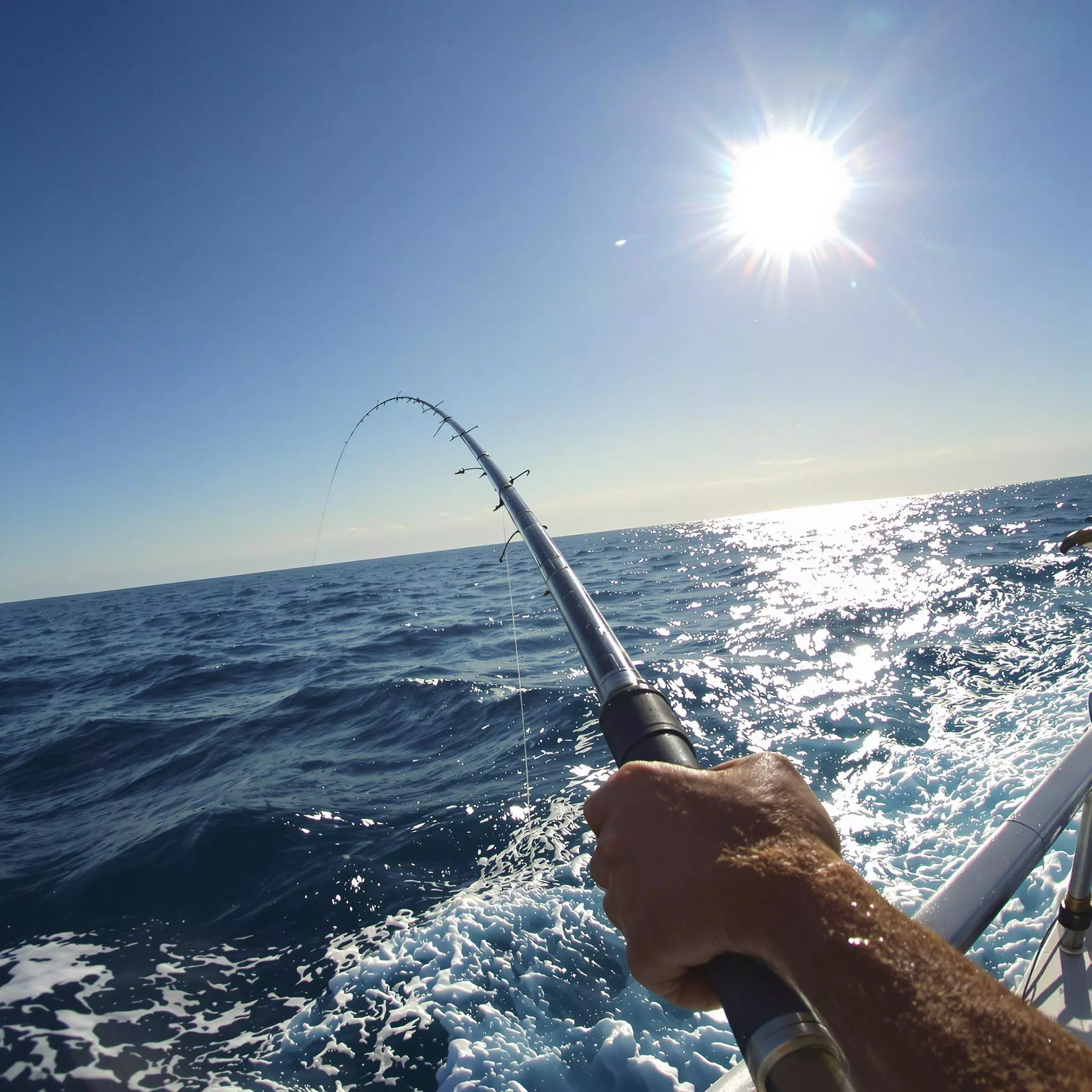 Erfahrungsbericht: Mein erstes Mal Hochseeangeln in der Nordsee