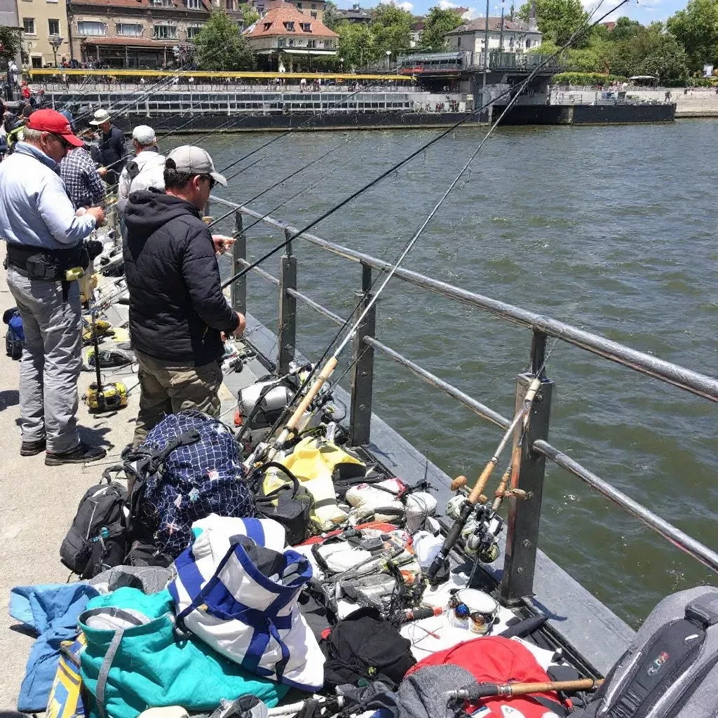Der Rhein als Angelgewässer - welche Fische gibt es?