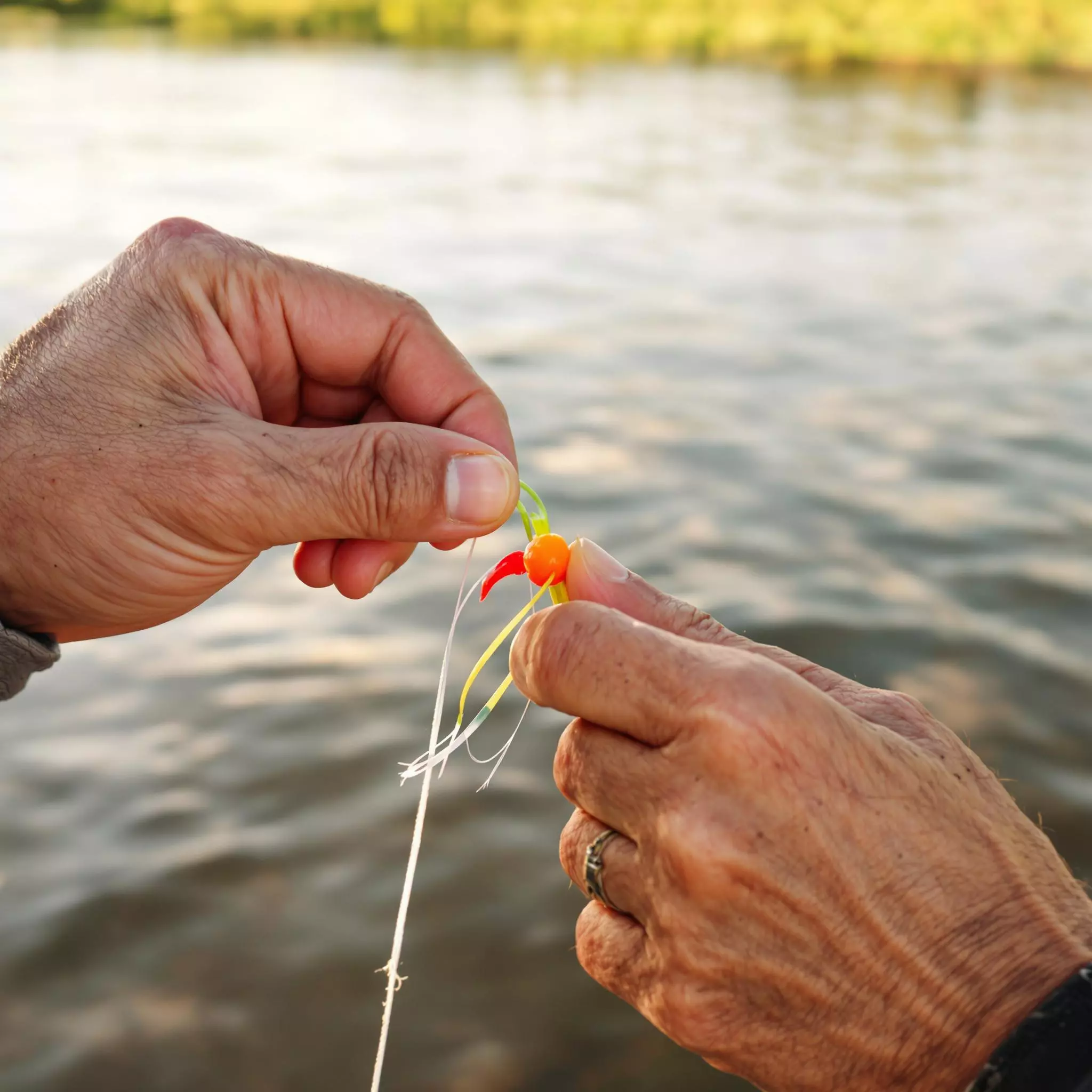 Innovative Köder und Zubehör für den modernen Angler