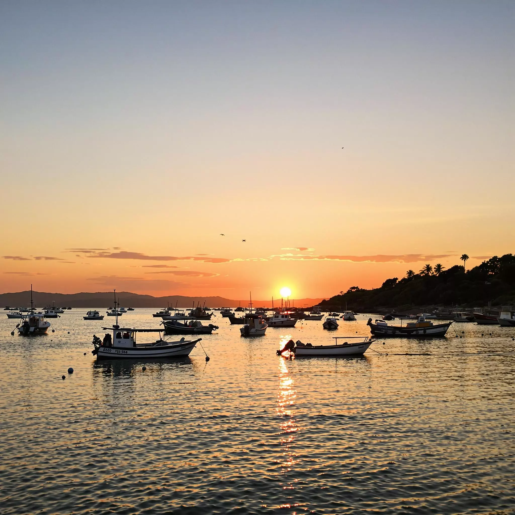 Hechte im Bodden vor Rügen immer seltener