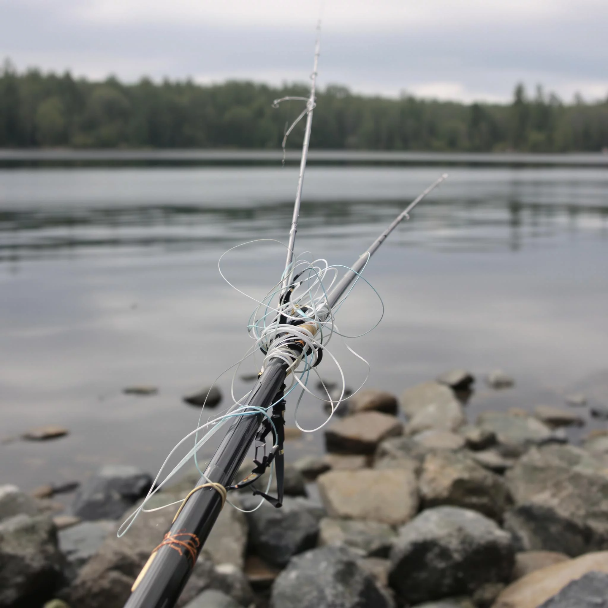 Drill sicher meistern: So bringst du kapitale Fische an Land – Alles rund um angeln