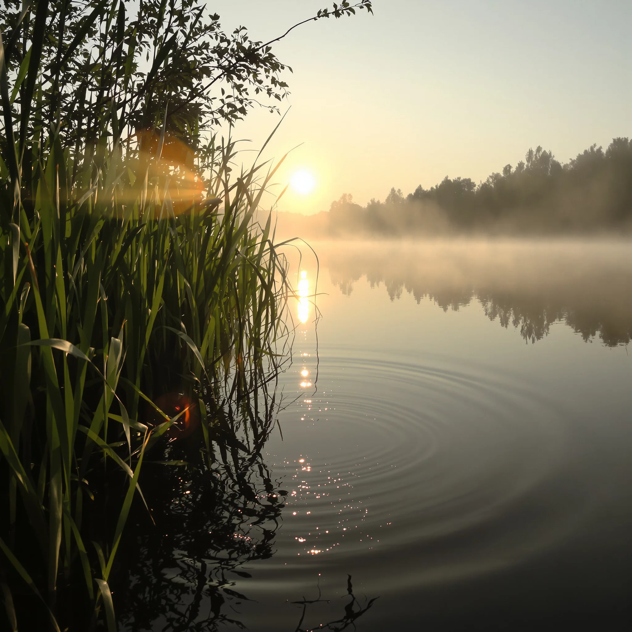 Hechtangeln im Frühjahr: Mein erfolgreichster Ansitz – Alles rund um angeln