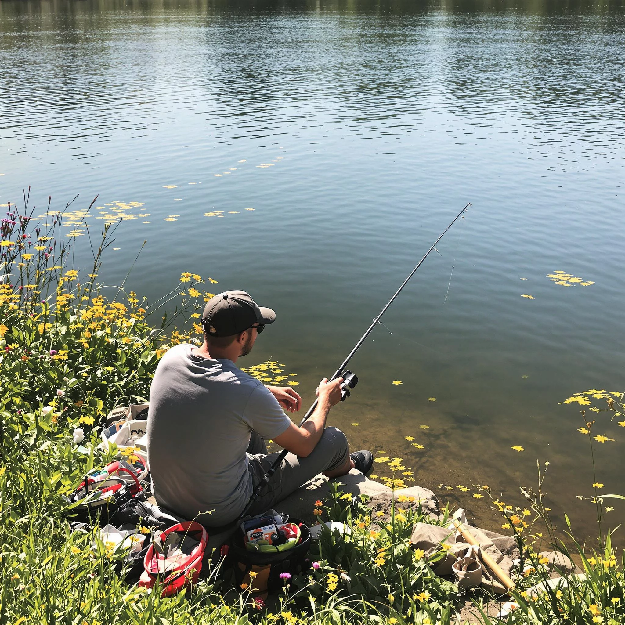 Zander angeln im Sommer: Verhalten, Köder und Spots – Alles rund um angeln
