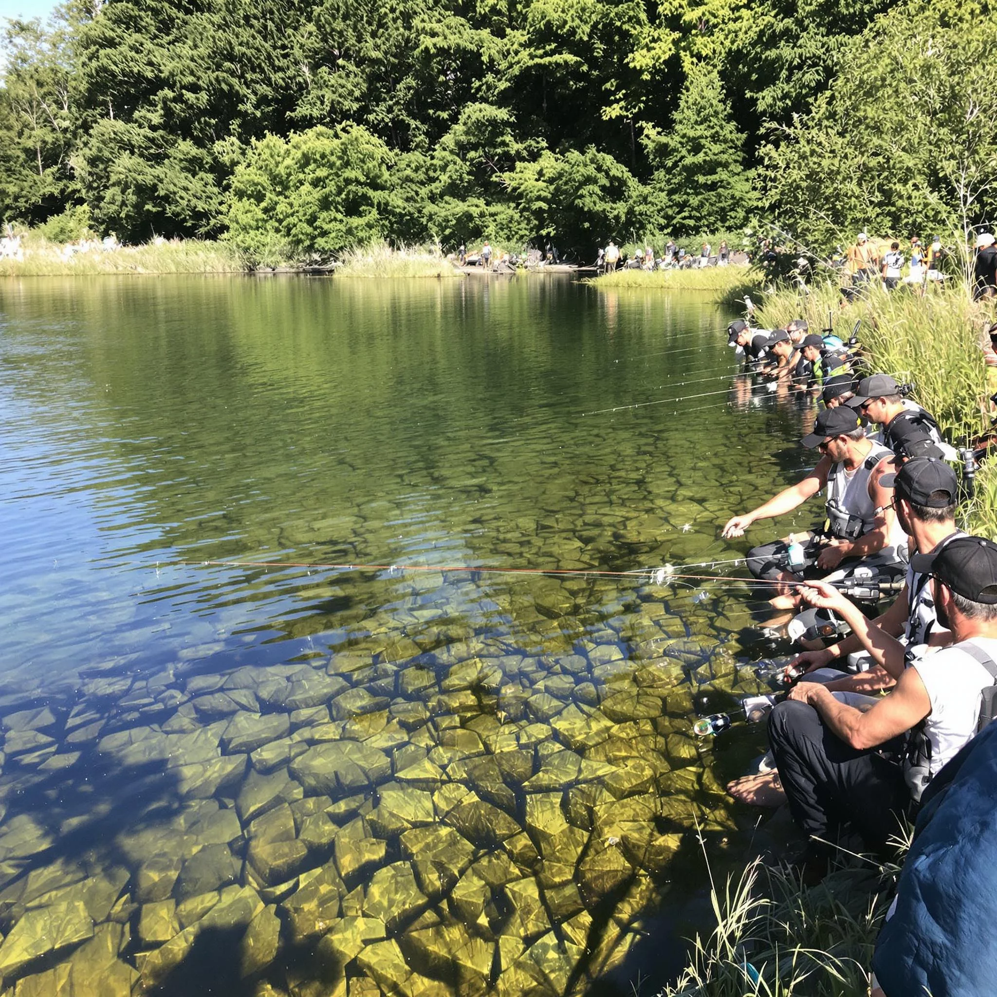 Nachhaltig Angeln – 7 einfache Tipps für mehr Umweltschutz am Wasser
