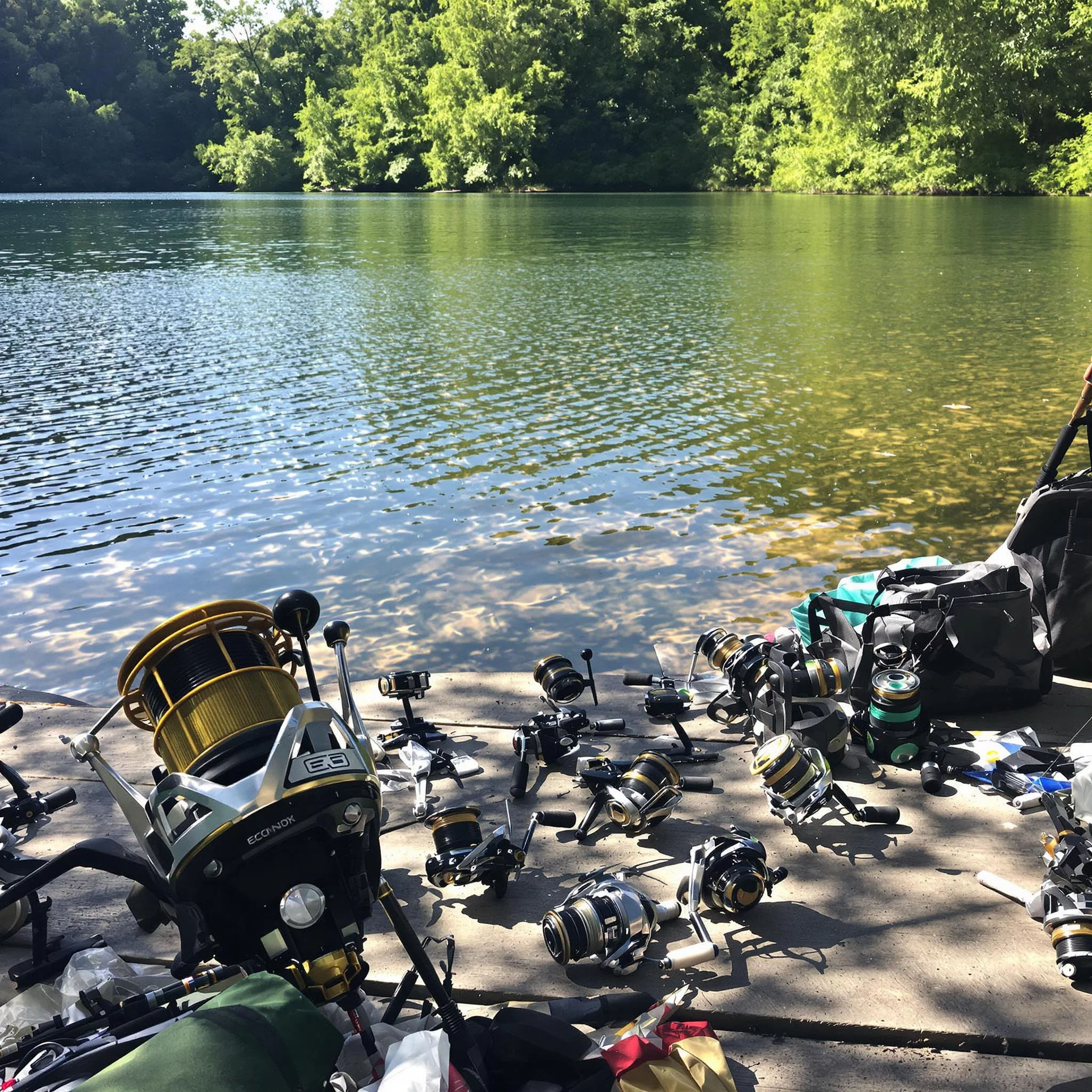 Top Spinnrollen: Modelle im Überblick – Alles rund um angeln im DAS ANGEL MAGAZIN