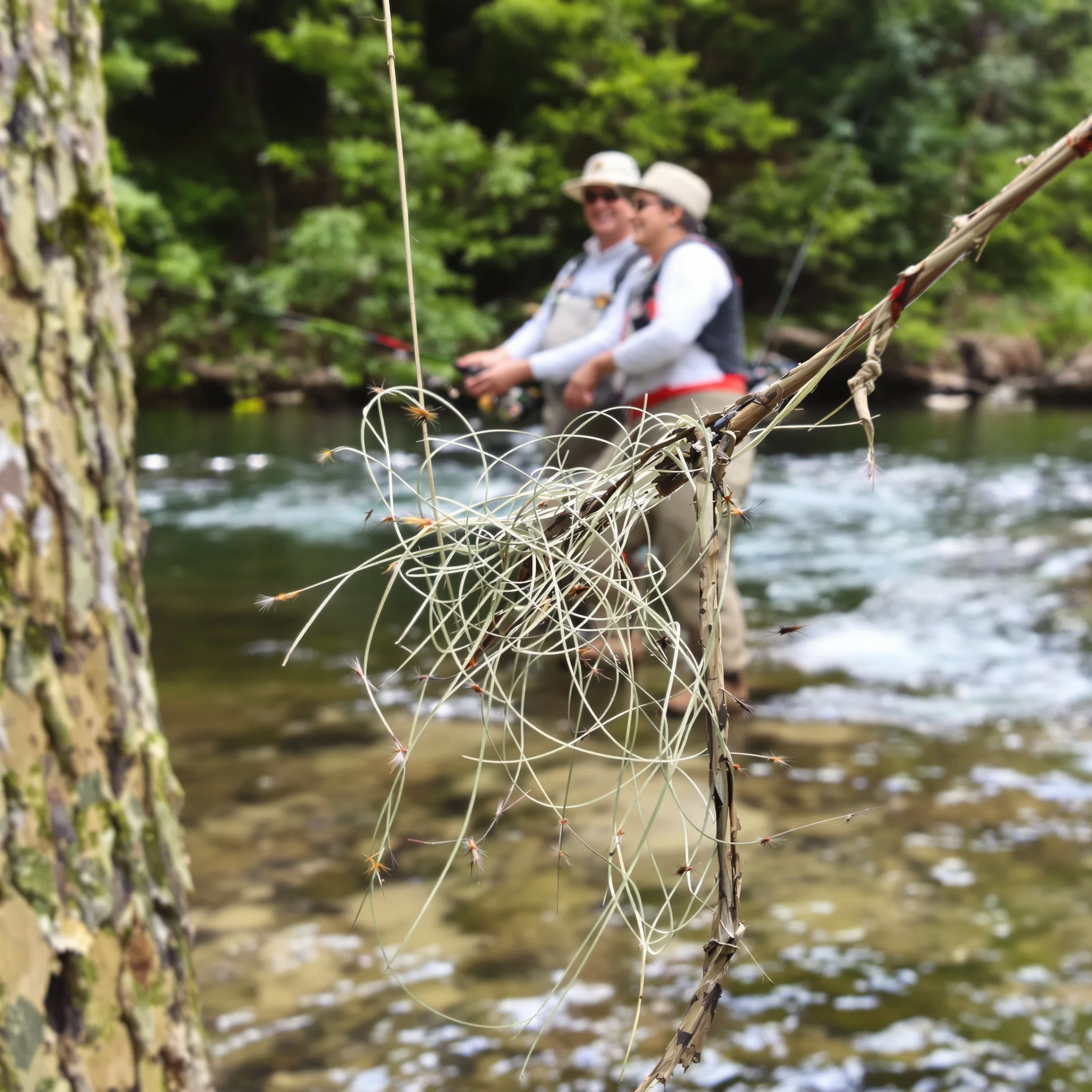 Fliegenfischen im Bach: Trockenfliege vs. Nymphe im Vergleich – Alles rund um angeln