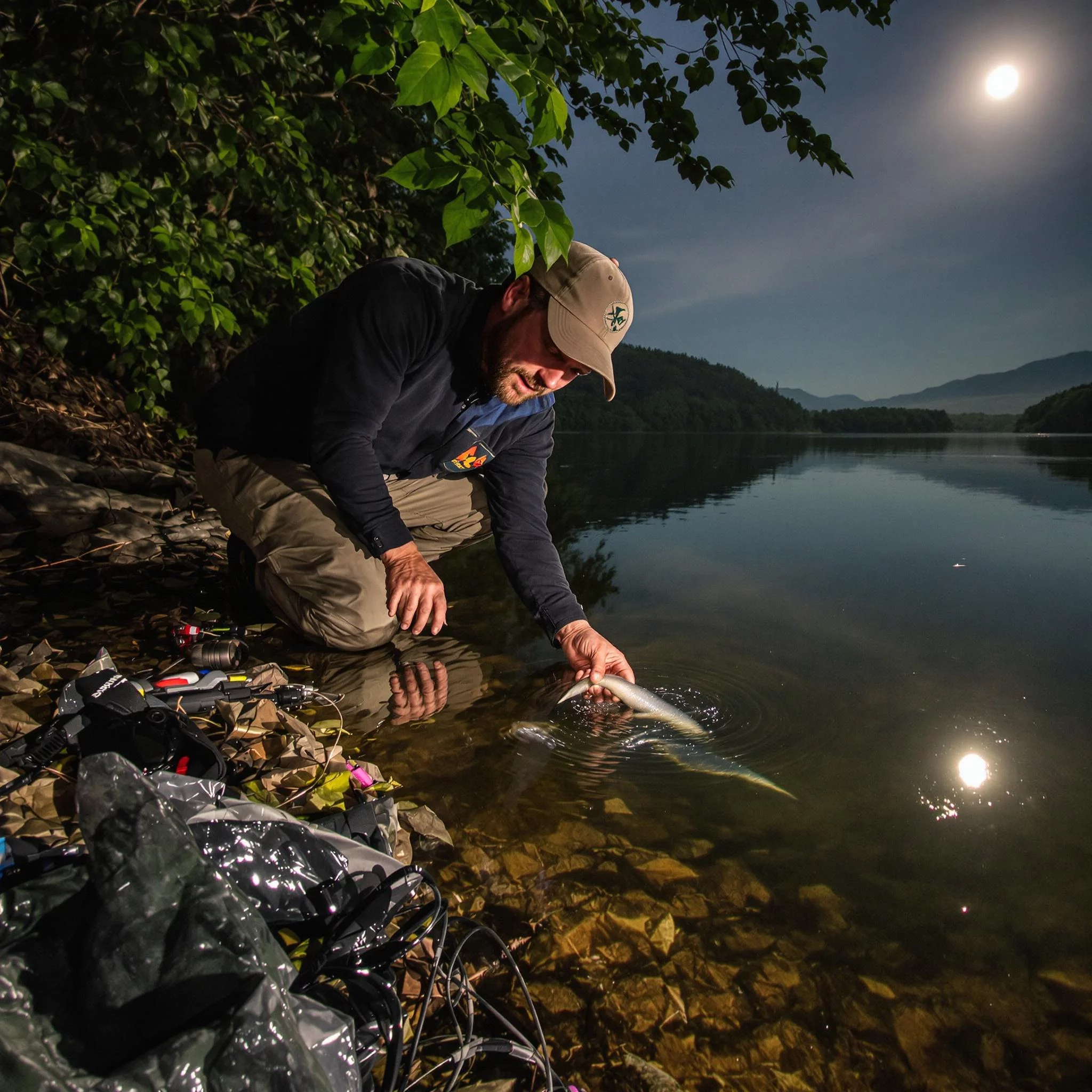 Aalnacht: So gelingt die nächtliche Jagd auf den Flussgeist – Alles rund um angeln
