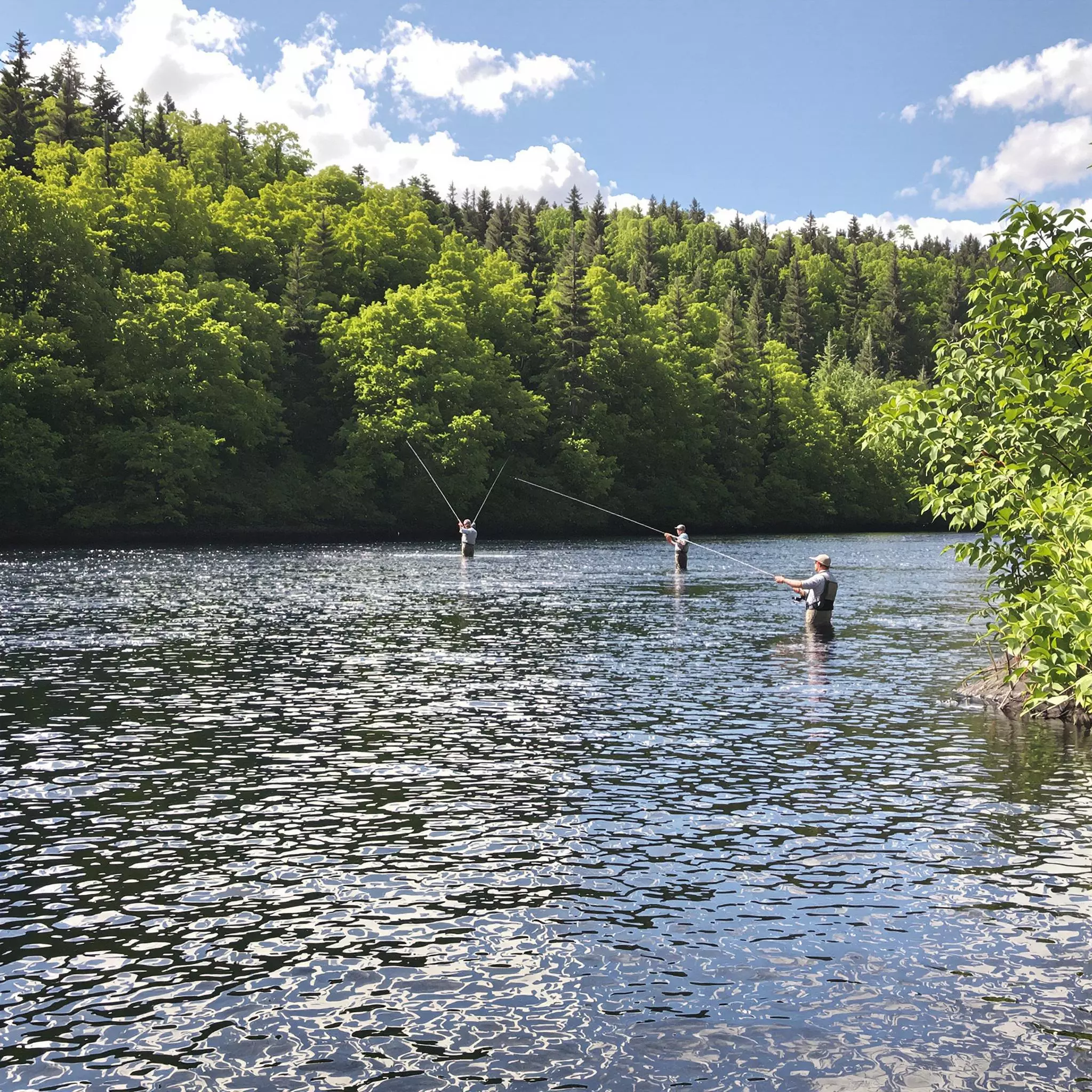Lachsangeln in Norwegen - ein Erlebnis