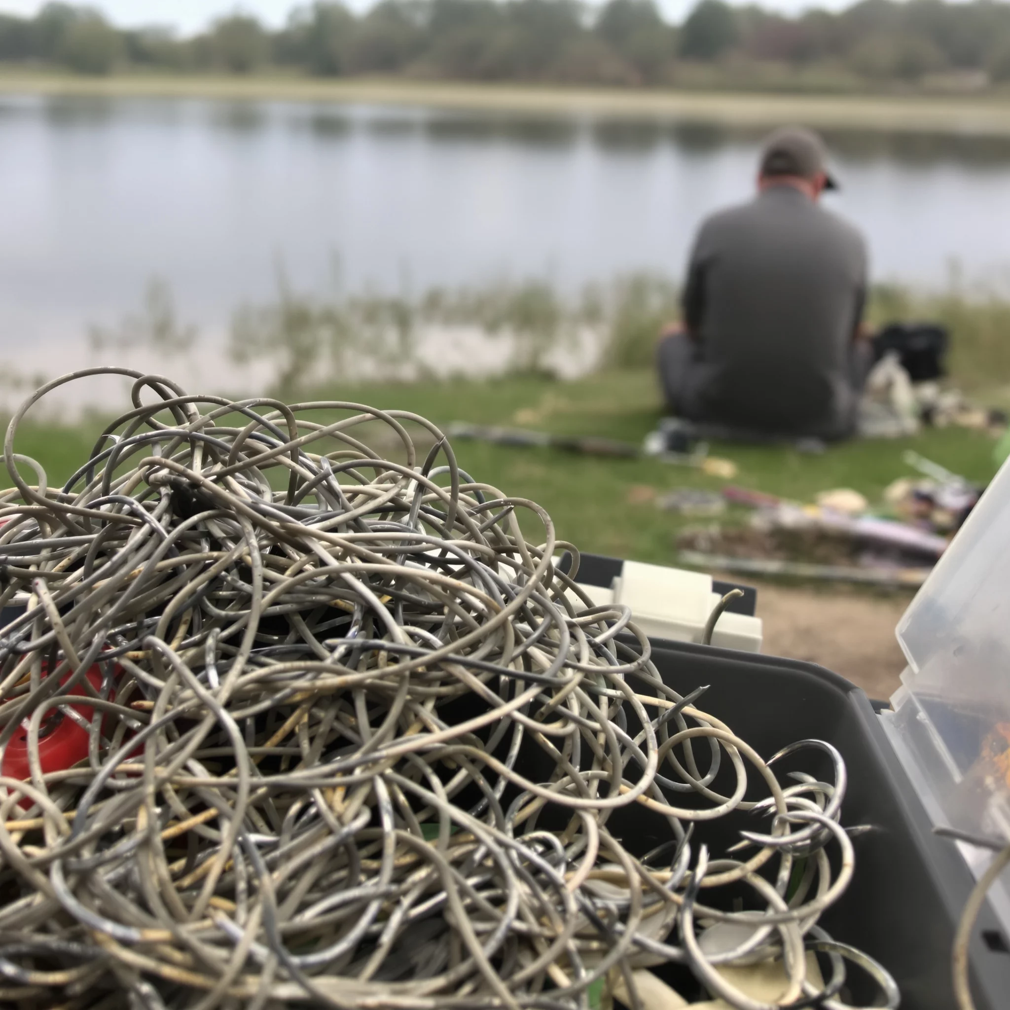 Brassen richtig fangen: Alles rund um angeln, Futter, Plätze und Montagen im Focus