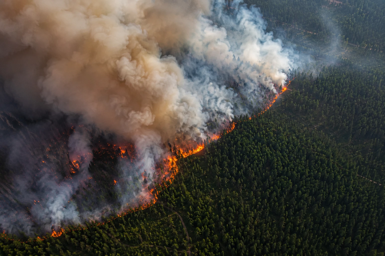 Waldbrand-Sommer 2026: Verhalten, Regeln, Risiken