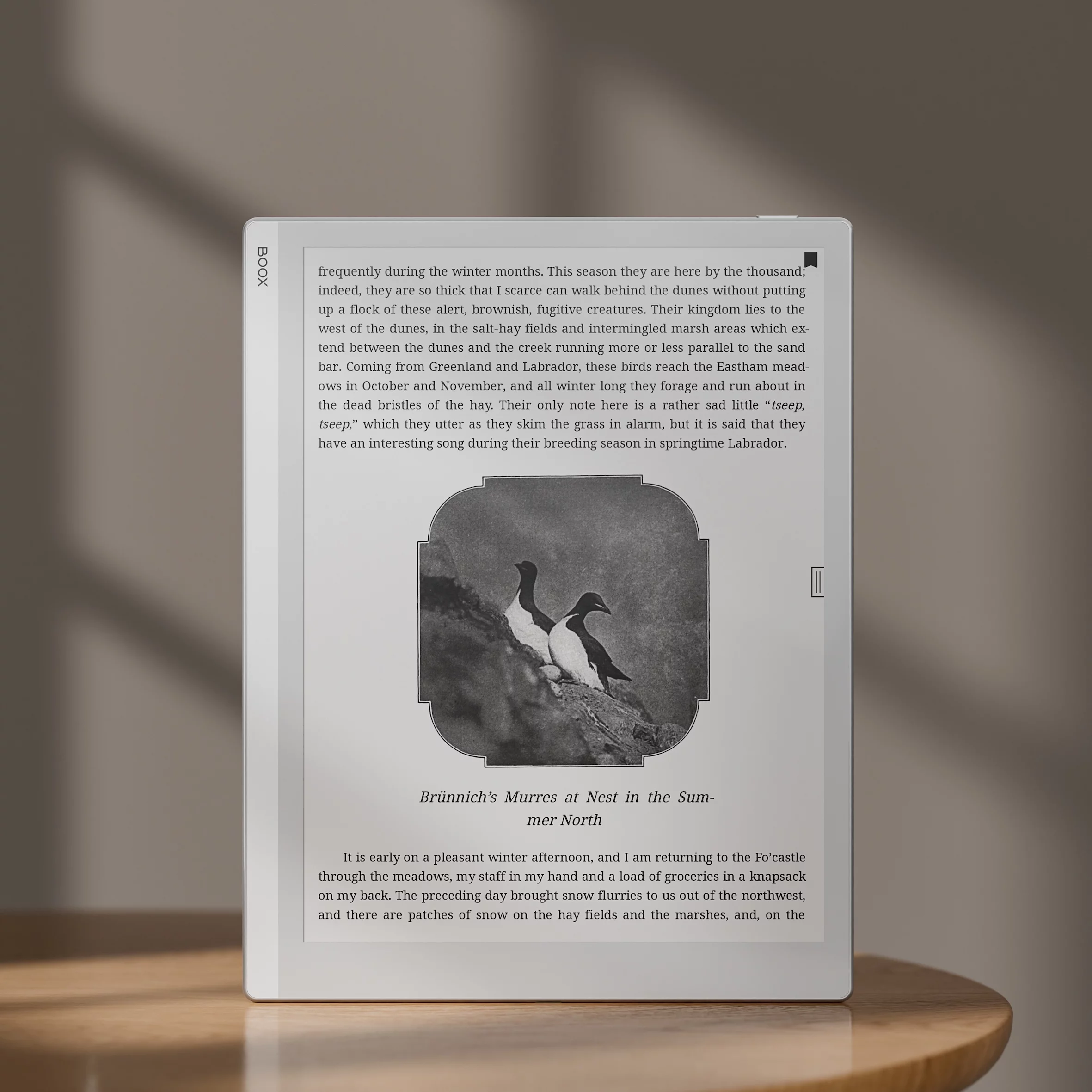 Im BOOX Go 10.3 stecken 10 Stunden Akku-Power (C) BOOX 