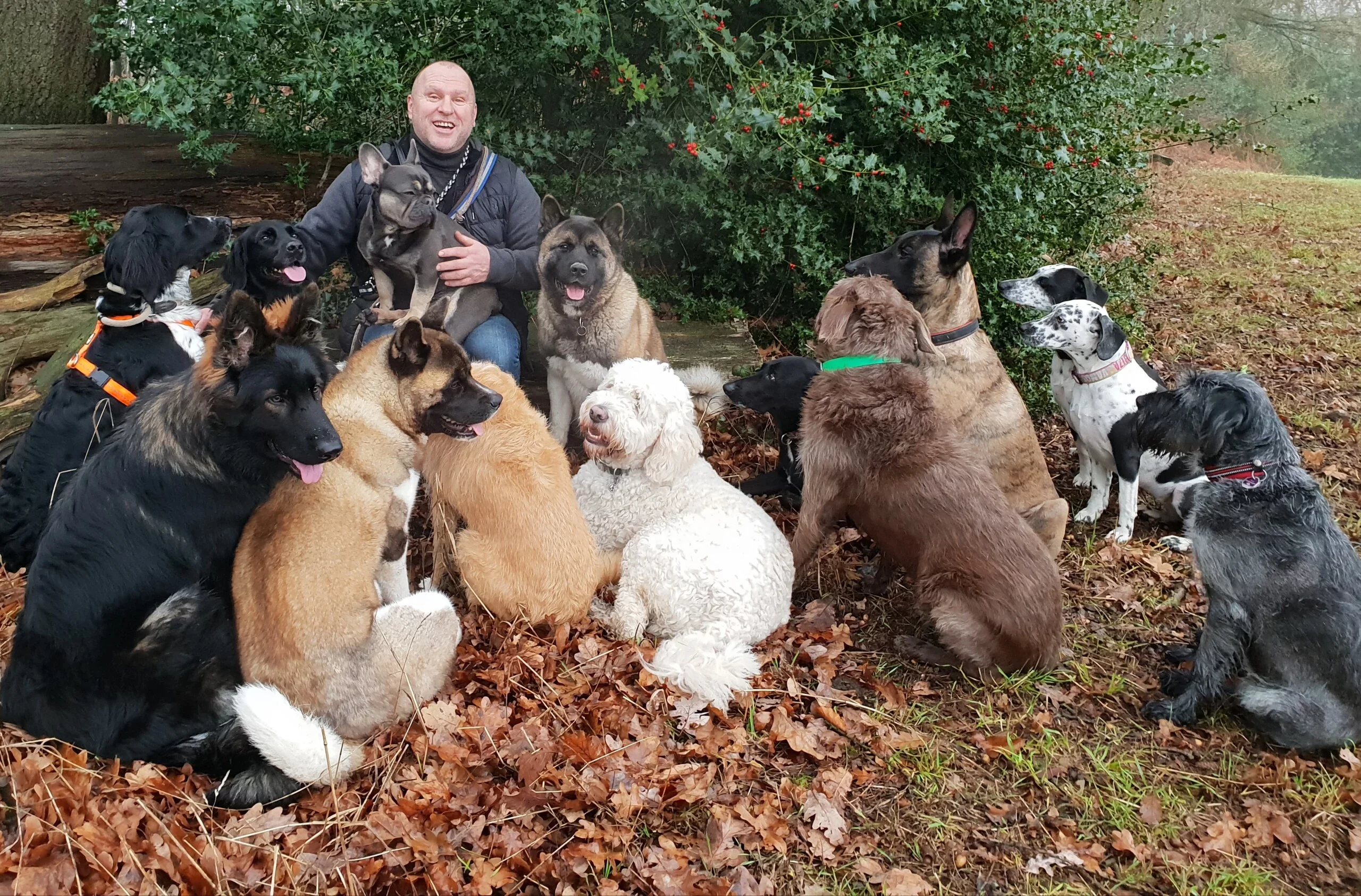 Praxisnahe Erziehungstipps für ein harmonisches Miteinander mit deinem Hund – Interview mit Jörg Müller von dogwalkerEssen