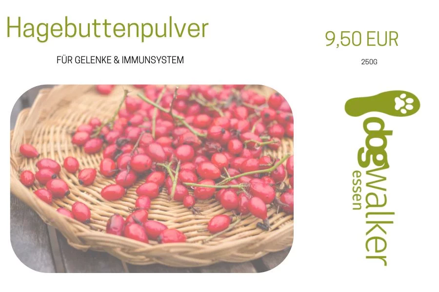 Hagebuttenpulver