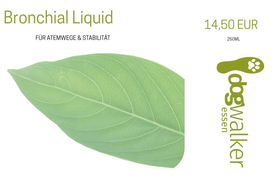 Bronchial Liquid