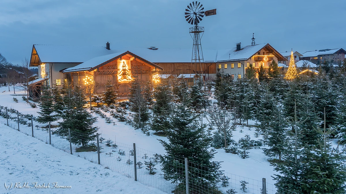 Christbaumschlagen zum Weihnachtsfest: Nachhaltig und regional mit BayernFlair alles rund um Bayern