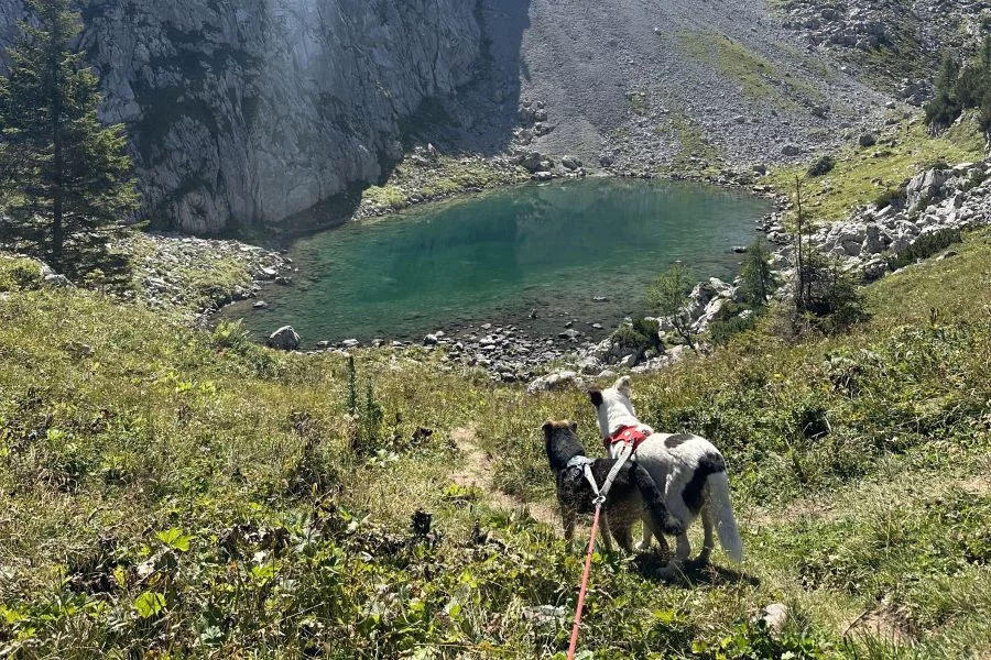 Wandertipp Kleine Reibn: BayernFlair alles rund um Bayern – Rundtour am Königssee
