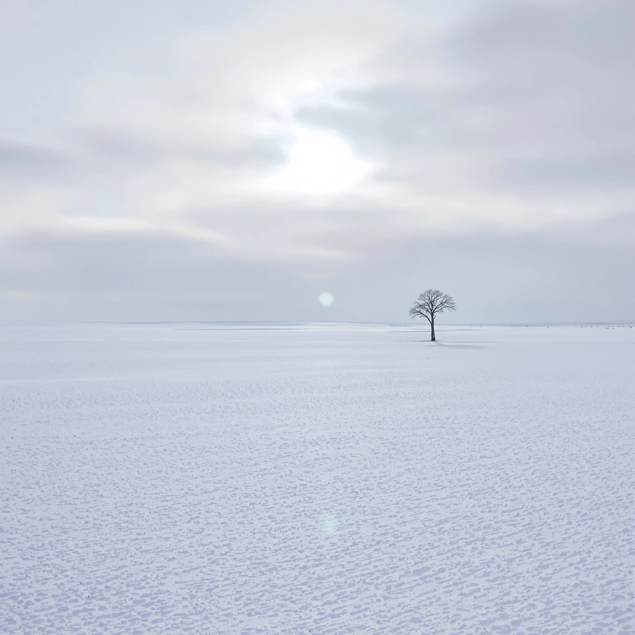 Die Kunst des Entschleunigens – Winter als Einladung zum Loslassen