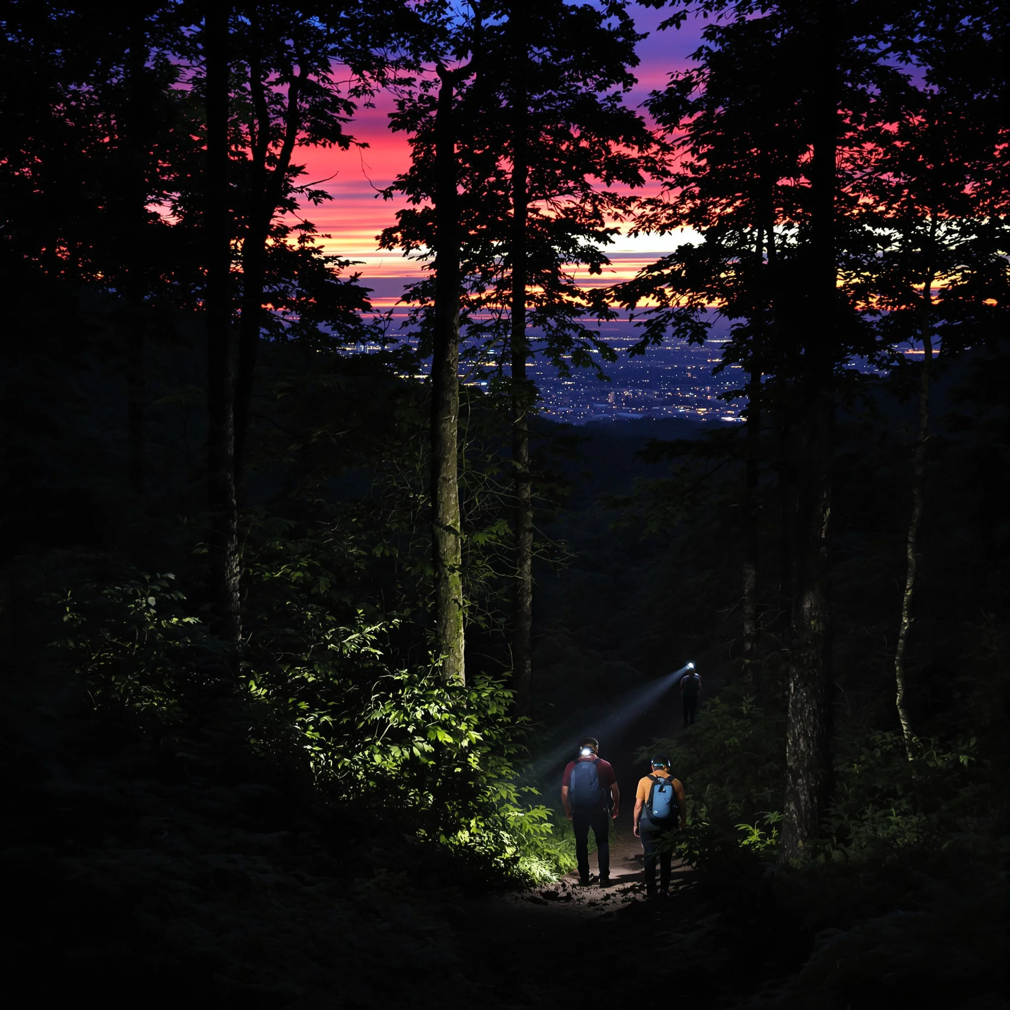 Noctourism – Reisen ins Nachtleben der Natur und Städte